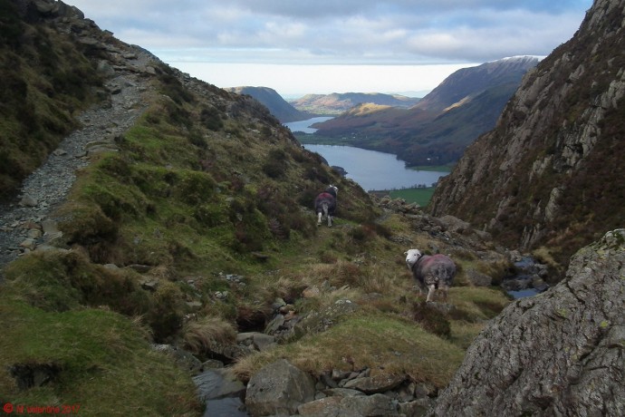 Buttermere view from Black Beck.